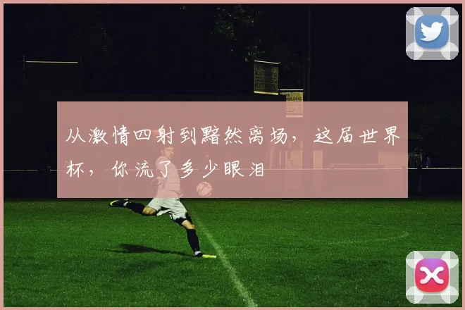 从激情四射到黯然离场，这届世界杯，你流了多少眼泪