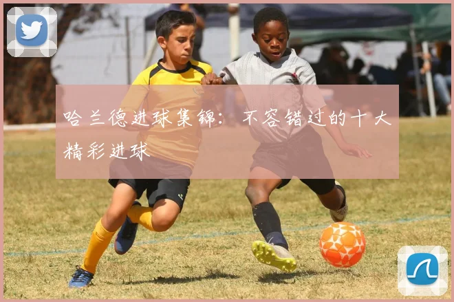 哈兰德进球集锦：不容错过的十大精彩进球